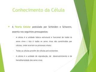 Conhecimento da Célula
 A Teoria Celular postulada por Schleiden e Schawnn,
assenta nos seguintes pressupostos:
› A célula é a unidade básica estrutural e funcional de todos os
seres vivos ( isto é todos os seres vivos são constituídos por
células, onde ocorrem os processos vitais)
› Todas as células provêm de células pré-existentes
› A célula é a unidade de reprodução, de desenvolvimento e de
hereditariedade dos seres vivos
 