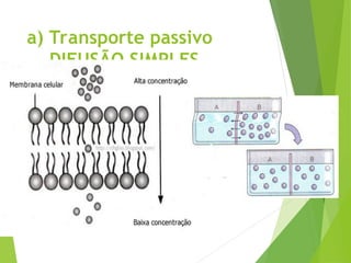 a) Transporte passivo
DIFUSÃO SIMPLES
 