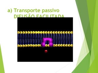 a) Transporte passivo
DIFUSÃO FACILITADA
 