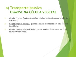 a) Transporte passivo
OSMOSE NA CÉLULA VEGETAL
1. Célula vegetal flácida: quando a célula é colocada em uma solução
isotônica;
2. Célula vegetal túrgida: quando a célula é colocada em uma solução
hipotônica;
3. Célula vegetal plasmolisada: quando a célula é colocada em uma
solução hipertônica.
 