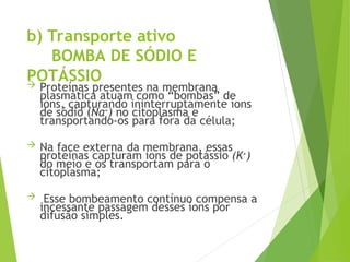 b) Transporte ativo
BOMBA DE SÓDIO E
POTÁSSIO
 Proteínas presentes na membrana
plasmática atuam como “bombas” de
íons, capturando ininterruptamente íons
de sódio (Na+
) no citoplasma e
transportando-os para fora da célula;
 Na face externa da membrana, essas
proteínas capturam íons de potássio (K+
)
do meio e os transportam para o
citoplasma;
 Esse bombeamento contínuo compensa a
incessante passagem desses íons por
difusão simples.
 