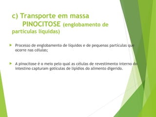 c) Transporte em massa
PINOCITOSE (englobamento de
partículas líquidas)
 Processo de englobamento de líquidos e de pequenas partículas que
ocorre nas células;
 A pinocitose é o meio pelo qual as células de revestimento interno do
intestino capturam gotículas de lipídios do alimento digerido.
 