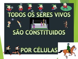 celulas oragenlas e suas funções celulares