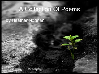 A Collection Of Poems ,[object Object]