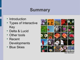 Summary Introduction Types of Interactive Key Delta & Lucid Other tools Recent Developments Blue Skies Ken McCown 