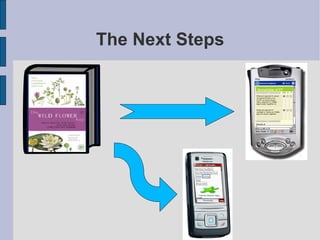 The Next Steps 