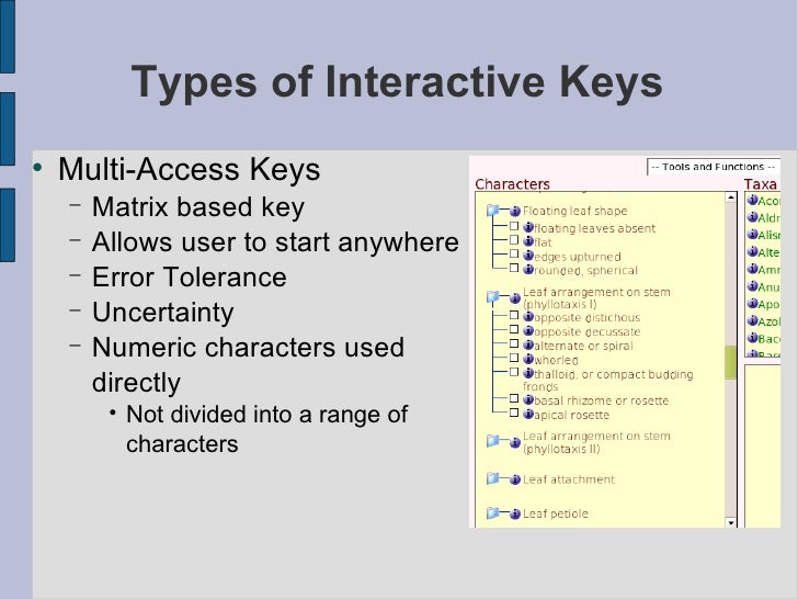A Comparison of Interactive Key Software