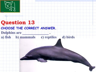 Question 13 . CHOOSE THE CORRECT ANSWER.   Dolphins are ______________ .  a) fish  b) mammals  c) reptiles  d) birds 