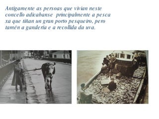 Antigamente as persoas que vivian neste concello adicabanse  principalmente a   pesca xa que tiñan un gran porto pesqueiro, pero tamén a gandería e a recollida da uva. 