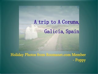 A trip to A Coruna, Galicia, Spain Holiday Photos from Roomsnet.com Member  - Poppy 