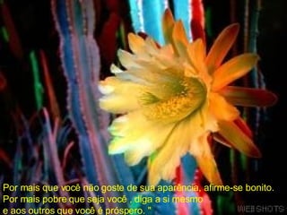 Por mais que você não goste de sua aparência, afirme-se bonito.  Por mais pobre que seja você , diga a si mesmo  e aos outros que você é próspero. "  