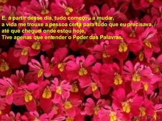 E, a partir desse dia, tudo começou a mudar,  a vida me trouxe a pessoa certa para tudo que eu precisava,  até que cheguei onde estou hoje.  Tive apenas que entender o Poder das Palavras.   