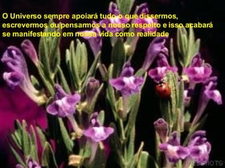 O Universo sempre apoiará tudo o que dissermos,  escrevermos ou pensarmos a nosso respeito e isso acabará  se manifestando em nossa vida como realidade .  