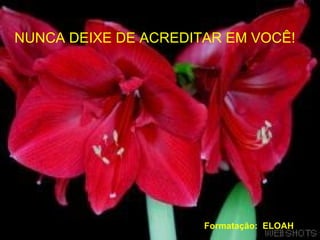 NUNCA DEIXE DE ACREDITAR EM VOCÊ! Formatação:  ELOAH 