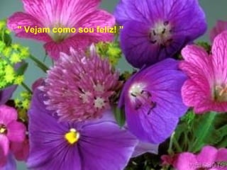 " Vejam como sou feliz! ”  