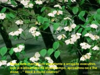 Numa bela manhã, um importante e arrojado executivo,  que já o observava há algum tempo, aproximou-se e lhe disse: - " Você é muito criativo!”  