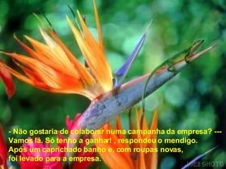- Não gostaria de colaborar numa campanha da empresa? --- Vamos lá. Só tenho a ganhar! , respondeu o mendigo. Após um caprichado banho e, com roupas novas,  foi levado para a empresa. 