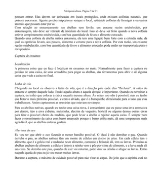 Meliponicultura, Página 7 de 21
possam entrar. Elas devem ser colocadas em locais protegidos, onde existam colônias naturais, que
possam enxamear. Agente precisa inspecionar sempre o local, retirando colônias de formigas e ou outros
animais que possam estar por aí.
Com relação ao enxameamento nas abelhas sem ferrão, um enxame recém estabelecido, por
enxameagem, não deve ser retirado de imediato do local. Isso só deve ser feito quando a nova colônia
estiver completamente estabelecida, com boa quantidade de favos e alimento estocado.
Quando uma colônia de abelha nativa enxameia, ela tem uma ligação bem forte com a colméia mãe, da
qual as operárias levam, aos poucos, alimento e cerume para a nova colônia. Por esta razão, um enxame
recém-estabelecido, com boa quantidade de favos e alimento estocado, pode então ser transportada para o
meliponário.
Captura de enxames
Localização
A primeira coisa que eu faço é localizar os enxames no mato. Normalmente para fazer a captura eu
preciso de uma caixa, de uma armadilha para pegar as abelhas, das ferramentas para abrir e de alguma
coisa que vede a caixa no final.
Linha de vôo
Chegando no local eu observo a linha de vôo, que é a direção para onde elas “flecham”. A saída do
enxame é sempre daquele lado. Então aquela altura e aquela direção é importante. Quando eu terminar a
captura, eu tenho que colocar a caixa naquela mesma altura. Às vezes isso não é possível, mas eu tenho
que botar o mais próximo possível, e com o alvado, que é o buraquinho direcionado para o lado que elas
trabalhavam. Assim capturamos as operárias que estavam no campo.
Para as abelhas nativas, quando eu tenho uma caixa nova, é conveniente que eu passe uma erva aromática
por dentro, tipo a erva cidreira, mulatinha, alecrim de vaqueiro, hortelã ou alguma dessas outras ervas
para tirar o possível cheiro da madeira, que pode levar a abelha a rejeitar aquela caixa. É sempre bom
fazer o revestimento da caixa com barro amassado porque o barro esfria mais, dá uma temperatura mais
agradável, que as abelhas nativas gostam.
Abertura do oco
Eu vou ter que abrir o oco fazendo o menor barulho possível. O ideal é não derrubar o pau. Quando
derruba o pau, as abelhas nativas têm um monte de células em discos de crias. Em cada célula tem o
alimento, que é a geleia real e nadando neste alimento, comendo e boiando ali, tem as larvas. Primeiro as
abelhas enchem de alimento a célula e depois a rainha vem e põe por cima do alimento, e a larva nada ali
em cima. Se derrubo este pau, quando ele cair vai entortar, pode virar as células e afogar as larvas. Então
naquela queda do pau eu já vou matar muitas larvas.
Durante a captura, o máximo de cuidado possível para não virar as capas. Do jeito que a capinha está no
 