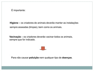 Para não causar poluição nem qualquer tipo de doenças.
Vacinação – os criadores deverão vacinar todos os animais,
sempre que for indicado.
Higiene – os criadores de animais deverão manter as instalações
sempre asseadas (limpas), bem como os animais.
É importante:
 
