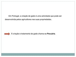 Em Portugal, a criação de gado é uma actividade que pode ser
desenvolvida pelos agricultores nas suas propriedades.
À criação e tratamento de gado chama-se Pecuária.
 