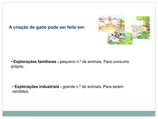 A criação de gado pode ser feita em:
• Explorações familiares - pequeno n.º de animais. Para consumo
próprio.
• Explorações industriais - grande n.º de animais. Para serem
vendidos.
 