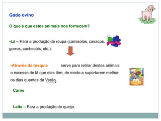 Gado ovino
O que é que estes animais nos fornecem?
•Lã – Para a produção de roupa (camisolas, casacos,
gorros, cachecóis, etc.).
•Através da tosquia serve para retirar destes animais
o excesso de lã que eles têm, de modo a suportarem melhor
os dias quentes de Verão.
Carne
Leite – Para a produção de queijo.
 