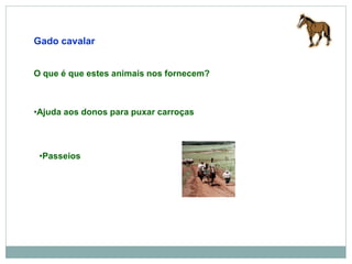 Gado cavalar
•Passeios
•Ajuda aos donos para puxar carroças
O que é que estes animais nos fornecem?
 