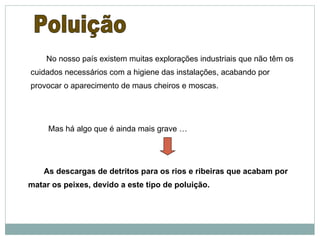 Poluição No nosso país existem muitas explorações industriais que não têm os cuidados necessários com a higiene das instalações, acabando por provocar o aparecimento de maus cheiros e moscas. Mas há algo que é ainda mais grave … As descargas de detritos para os rios e ribeiras que acabam por matar os peixes, devido a este tipo de poluição. 