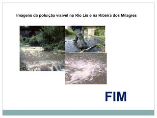 Imagens da poluição visível no Rio Lis e na Ribeira dos Milagres FIM 