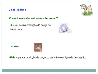 Gado caprino O que é que estes animas nos fornecem? Leite -  para a produção de queijo de cabra puro. Carne Pele –  para a produção de calçado, vestuário e artigos de decoração. 