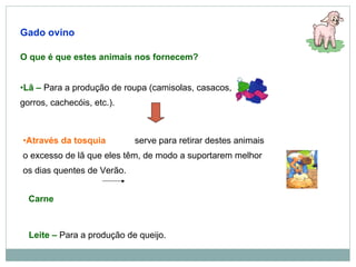 Gado ovino O que é que estes animais nos fornecem? Lã –  Para a produção de roupa (camisolas, casacos, gorros, cachecóis, etc.). Através da tosquia     serve para retirar destes animais o excesso de lã que eles têm, de modo a suportarem melhor os dias quentes de Verão. Carne Leite –  Para a produção de queijo. 