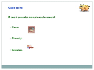 Gado suíno Salsichas Chouriço Carne O que é que estes animais nos fornecem? 