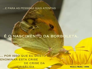 ...e para as pessoas mais atentas é o nascimento da borboleta. ... por isso que eu gosto de denominar esta crise  de crise da crisálida 