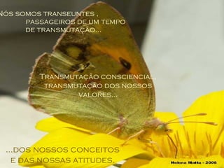 Nós somos transeuntes ,  passageiros de um tempo de transmutação... Transmutação consciencial, transmutação dos nossos valores... ...dos nossos conceitos e das nossas atitudes. 