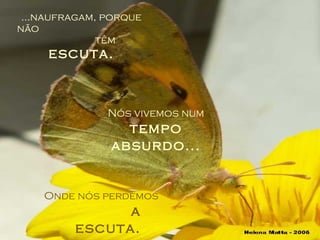 ...naufragam, porque não  têm  escuta. Nós vivemos num  tempo absurdo... Onde nós perdemos  a escuta. 