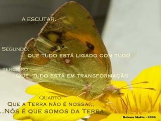 Primeiro:   a escutar. Segundo:  que tudo está ligado com tudo terceiro :  Que  tudo está em transformação Quarto: Que a Terra não é nossa,,, ...Nós é que somos da Terra 