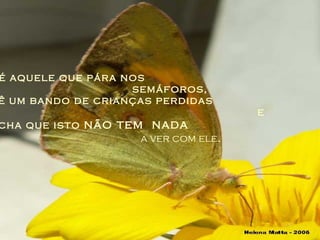 ..é aquele que pára nos  semáforos, vê um bando de crianças perdidas  e acha que isto  não tem  nada   a ver com ele . 