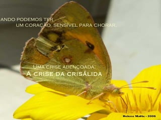 ...quando podemos ter  um coração  sensível para chorar. Uma crise abençoada: A crise da crisálida 