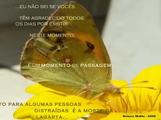 ...eu não sei se vocês  têm agradecido todos  os dias por existir  neste momento: ...é um  momento  de  passagem. ...e isto para algumas pessoas  distraídas  é a morte da lagarta... 