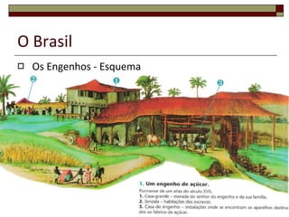 O Brasil Os Engenhos - Esquema 