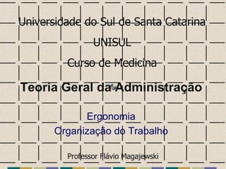 Teoria Geral da Administração Ergonomia Organização do Trabalho Universidade do Sul de Santa Catarina UNISUL Curso de Medicina Professor Flávio Magajewski 