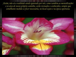 A Descoberto. Jr Cordeiro.