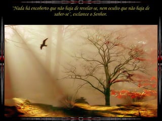 A Descoberto. Jr Cordeiro.