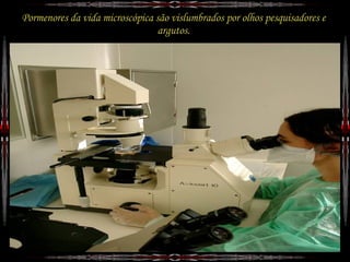 A Descoberto. Jr Cordeiro.