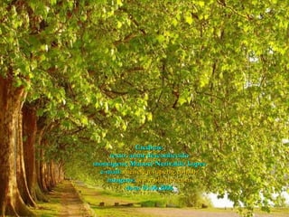 Creditos: texto: autor desconhecido montagem: Manoel Nerivaldo Lopes e-mail:  [email_address] imagens:  www.olhares.com data: 03.06.2006 