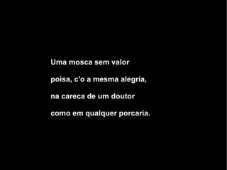 A diversidade cultural