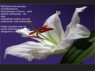 Sofremos não porque envelhecemos,  mas porque o futuro  está sendo confiscado  de  nós,   impedindo assim que mil aventuras  nos aconteçam,  todas aquelas com as quais sonhamos e  nunca chegamos a experimentar. 