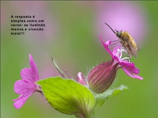 A resposta é simples como um verso: se iludindo menos e vivendo mais!!! 