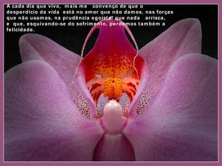 A cada dia que vivo,  mais me  convenço de que o desperdício da vida  está no amor que não damos, nas forças que não usamos, na prudência egoísta  que nada  arrisca, e que, esquivando-se do sofrimento, perdemos também a felicidade. 