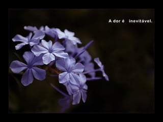 A dor é  inevitável. 